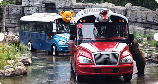 猛兽区尊享包车