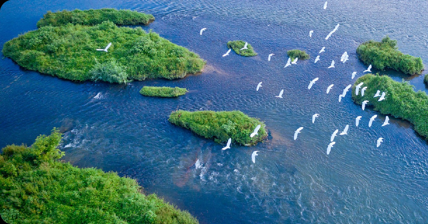 生物资产管理委员会