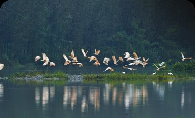 我们采取的行动