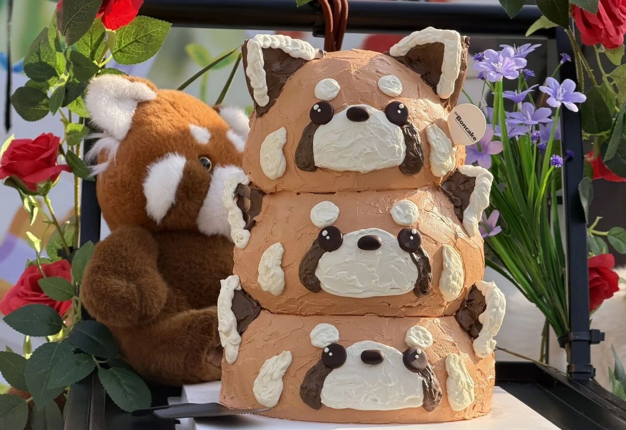 “三萌赴约，百日同欢”——小熊猫三胞胎百日宴礼成！