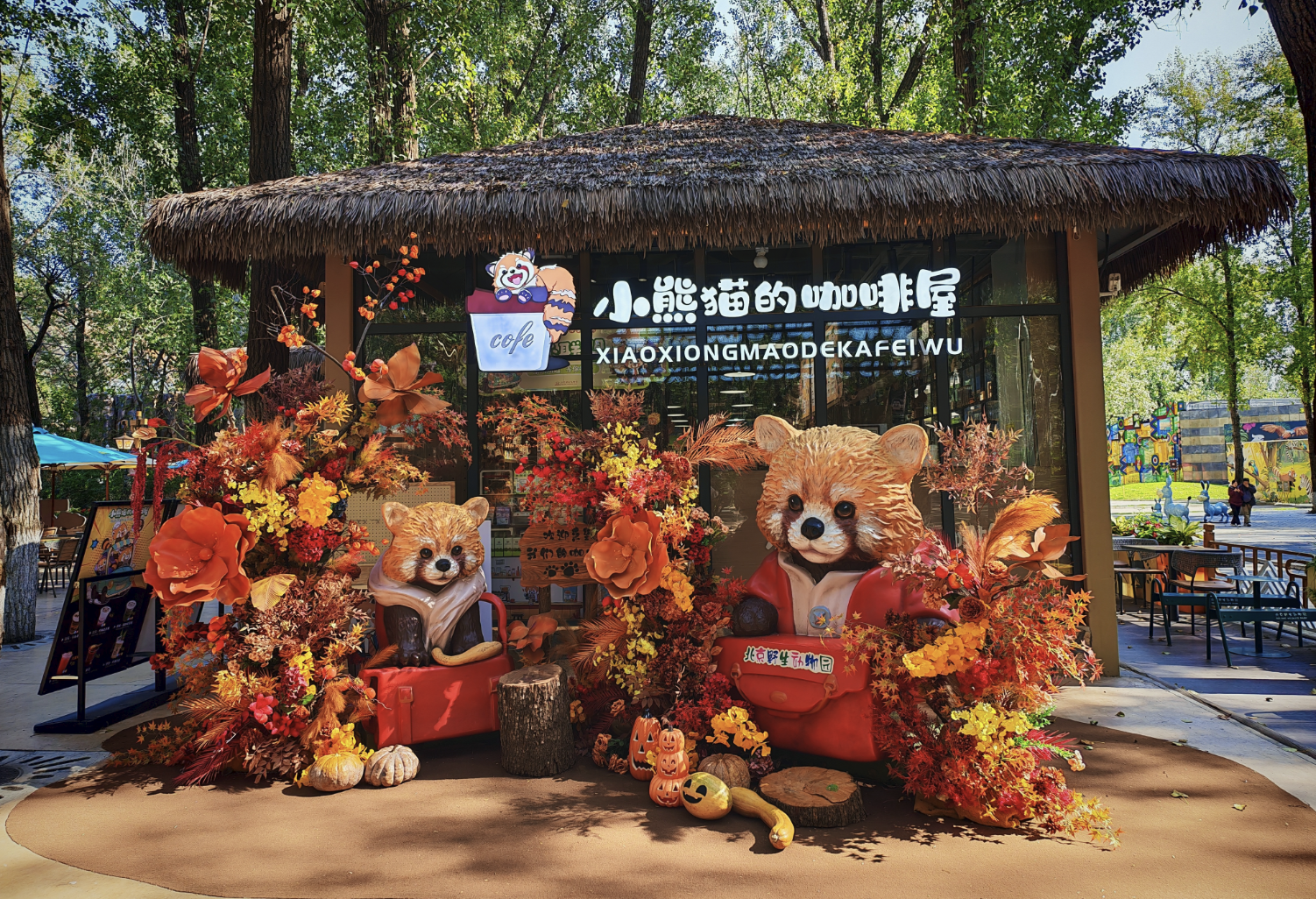 小熊猫的咖啡屋