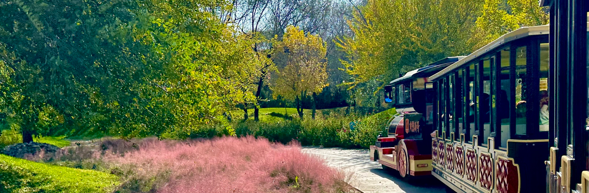 园区服务-票务信息