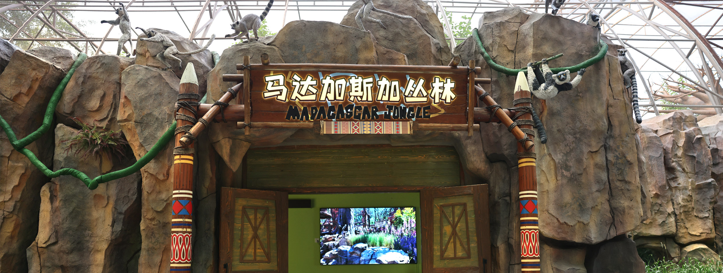 生态展区-马达加斯加丛林