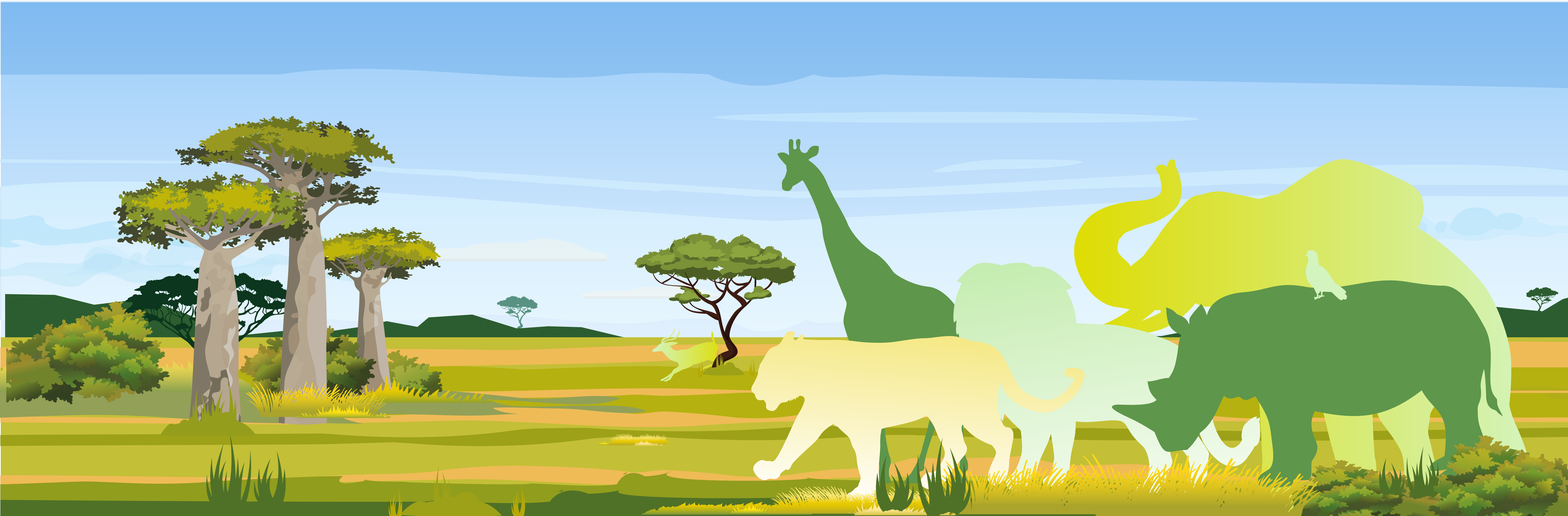 动物展示-主题展区-寻找好望角