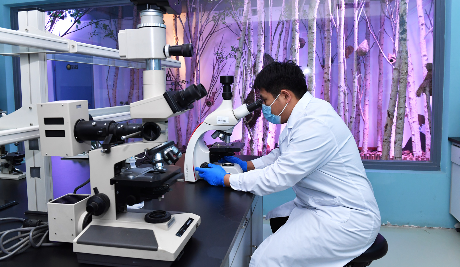 动物园寄生虫综合防控指南