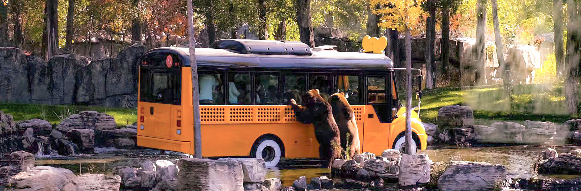 生态展区-猛兽天地