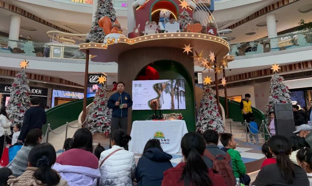 雪夜童话·北野科普课堂|动物的冬日魔法