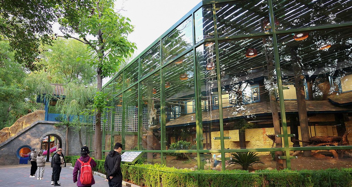 灰瓦覆顶的须弥村石屋错落排布新