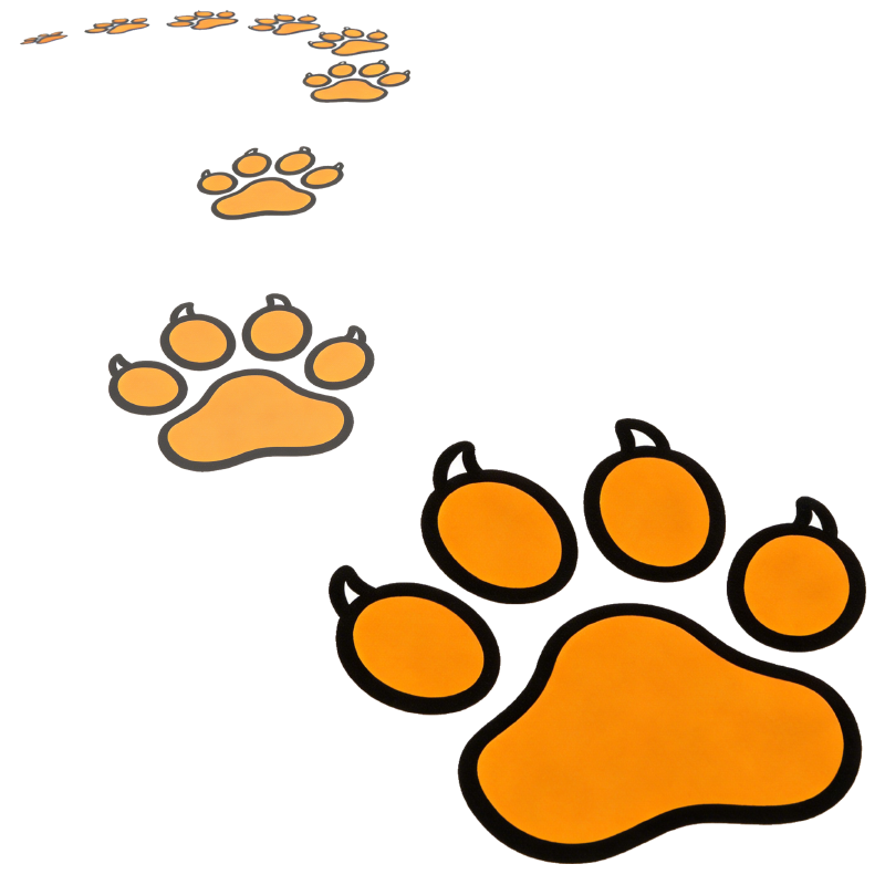 跟着我的小脚印，不会迷路。