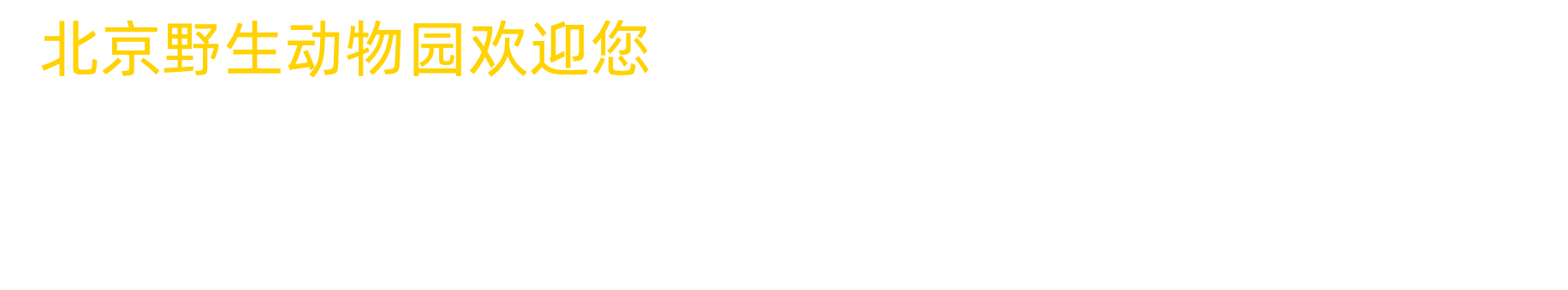 大象