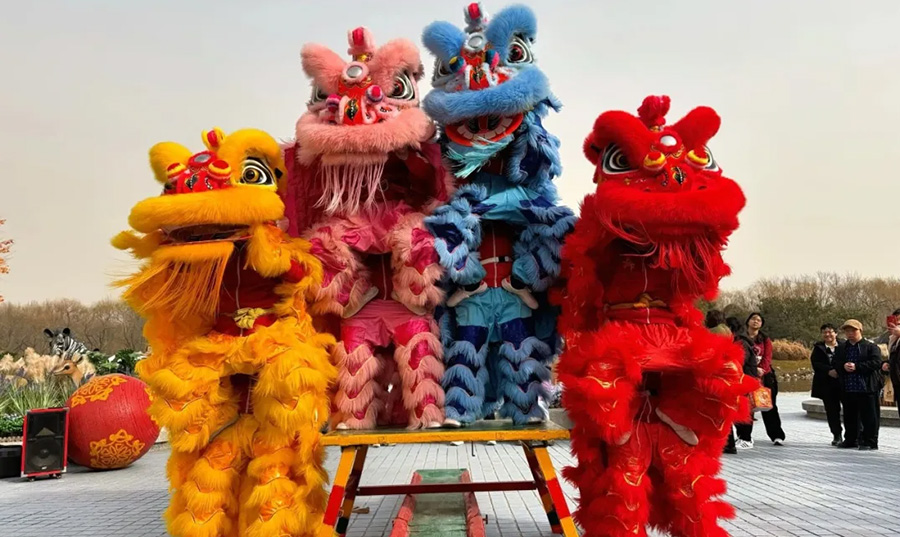 大年初五 | 破五迎财神 北京野生动物园萌兽送福年味浓