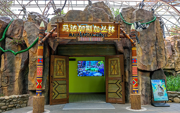 马达加斯加丛林