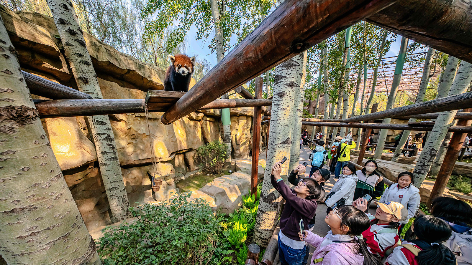 展区内多层次的植被交织出浓密绿荫，竹林、灌木层层叠叠；