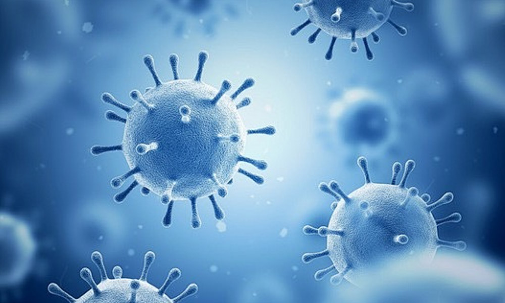 禽流感防控与常见问题