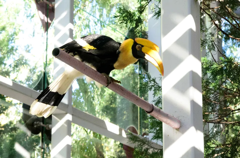 首都添绿 与自然共生｜以一抹新绿，赴万物之约