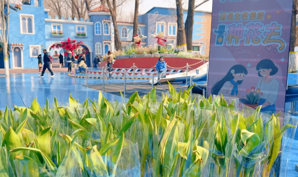 “三八”国际妇女节|闪光女性集结，春日种花去！