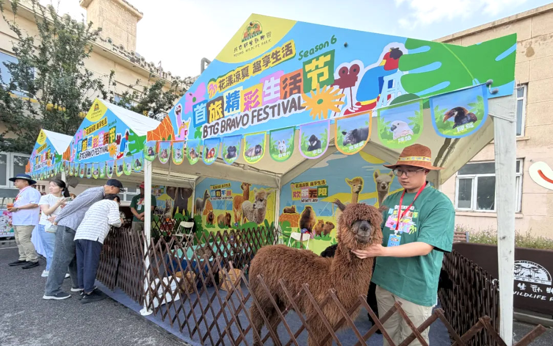 北京野生动物园亮相第六季首旅精彩生活节！萌趣互动焕新文旅体验