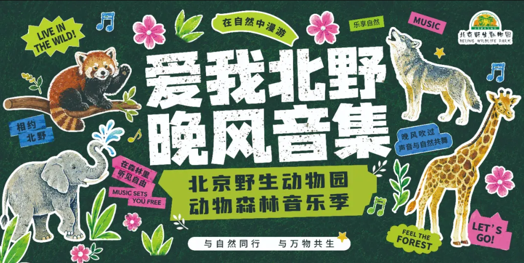 动物森林晚风开唱！北京野生动物园25周年限定治愈 Live 来啦