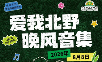 动物森林音乐季套票