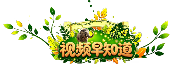 视频早知道