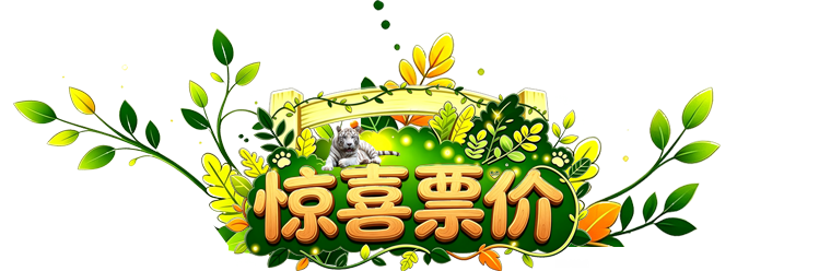惊喜票价