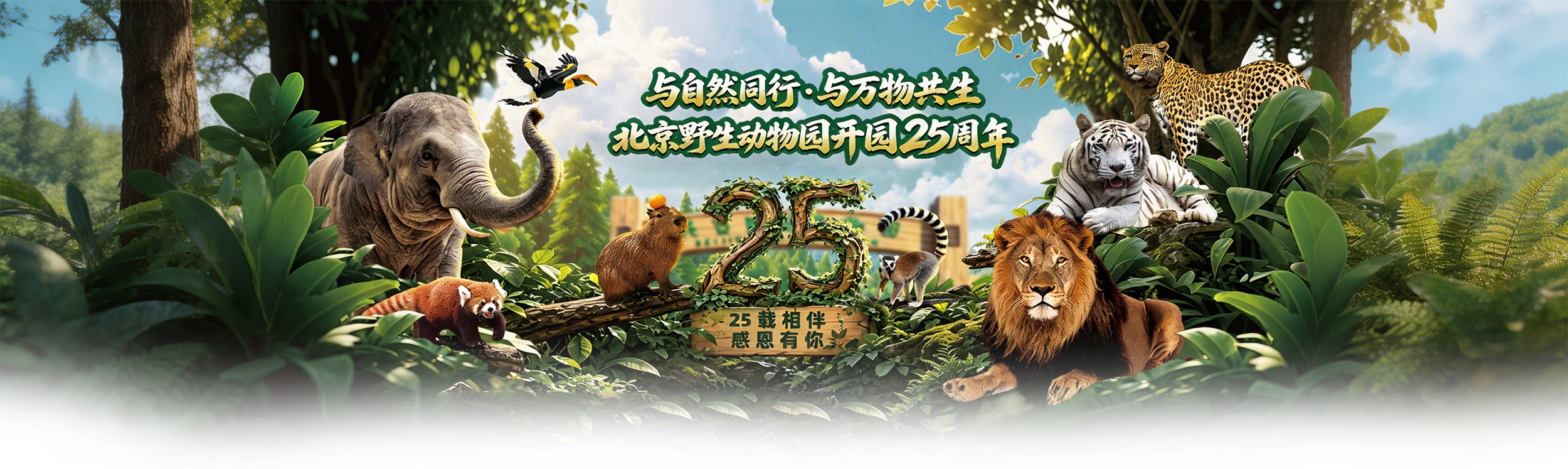 25周年庆内页banner