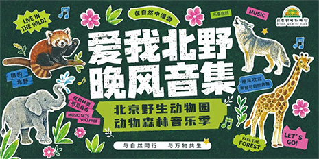 动物森林晚风开唱！北京野生动物园25周年限定治愈 Live 来啦