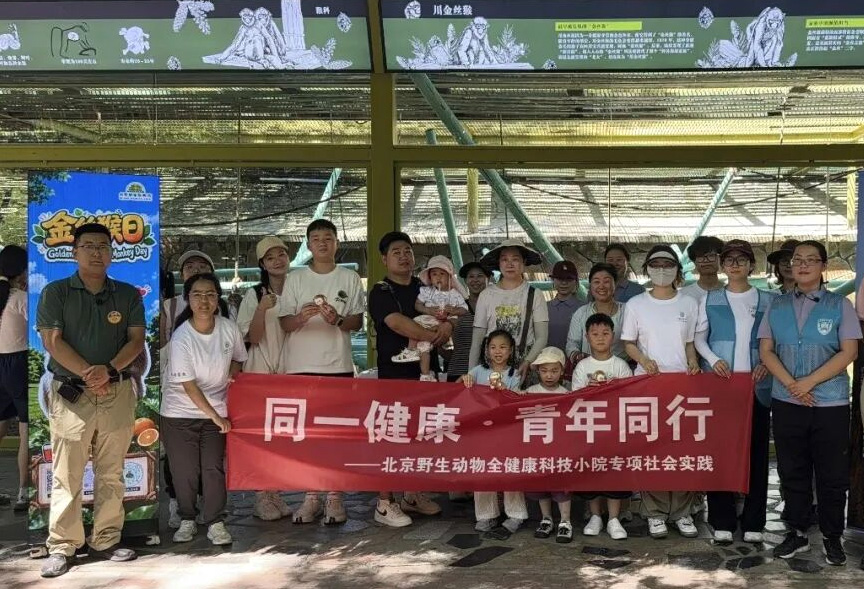 探秘山林金灵，守护珍稀生灵｜金丝猴日科普活动圆满落幕