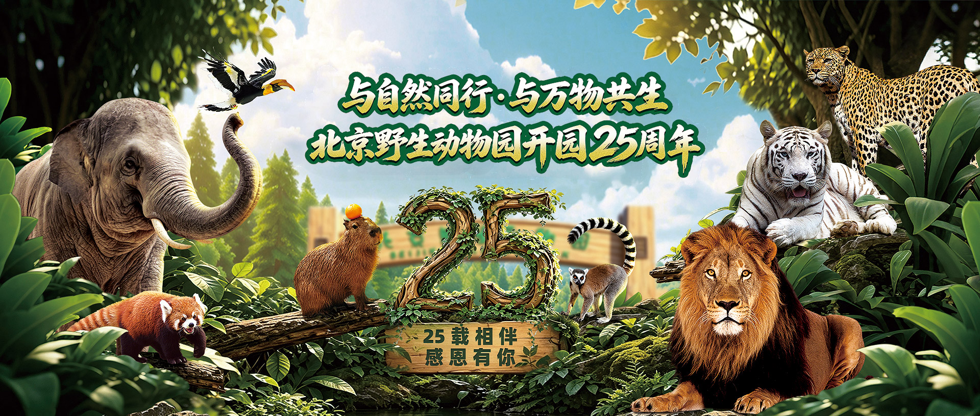 25周年庆