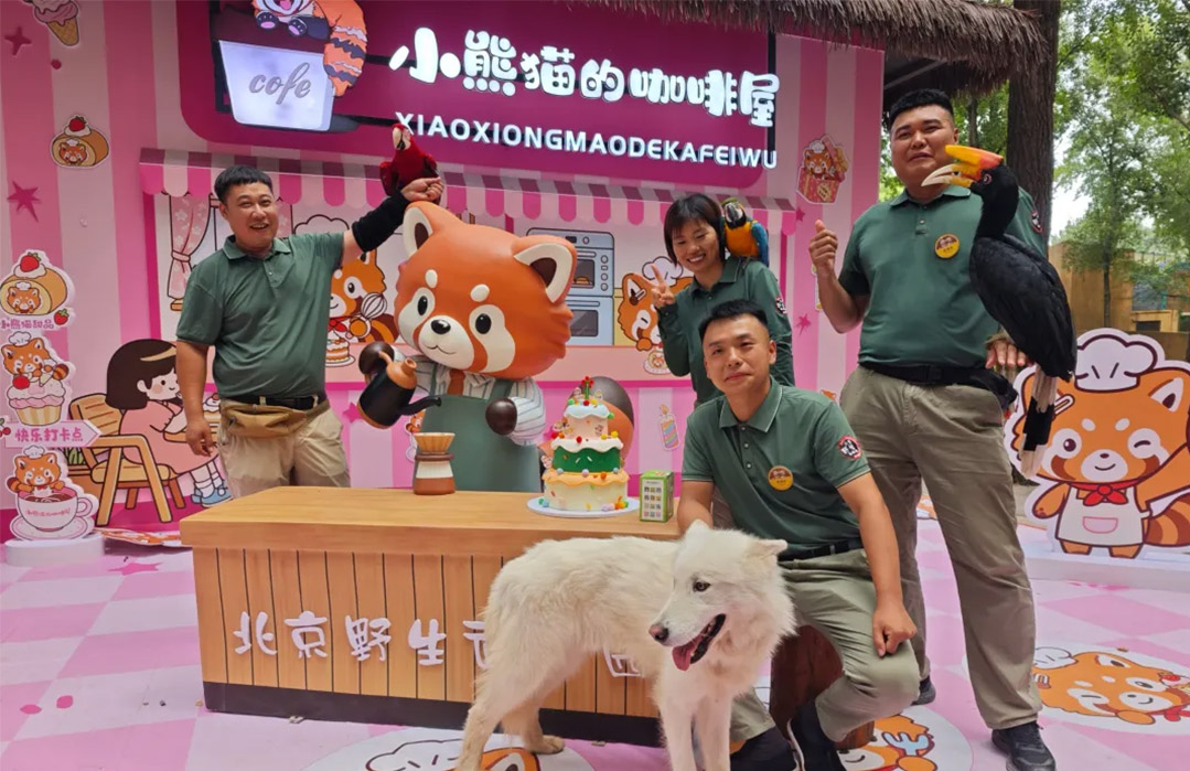 爱我北野·相伴成长 | 小熊猫生日季惊喜加场，欢乐满格治愈加倍！