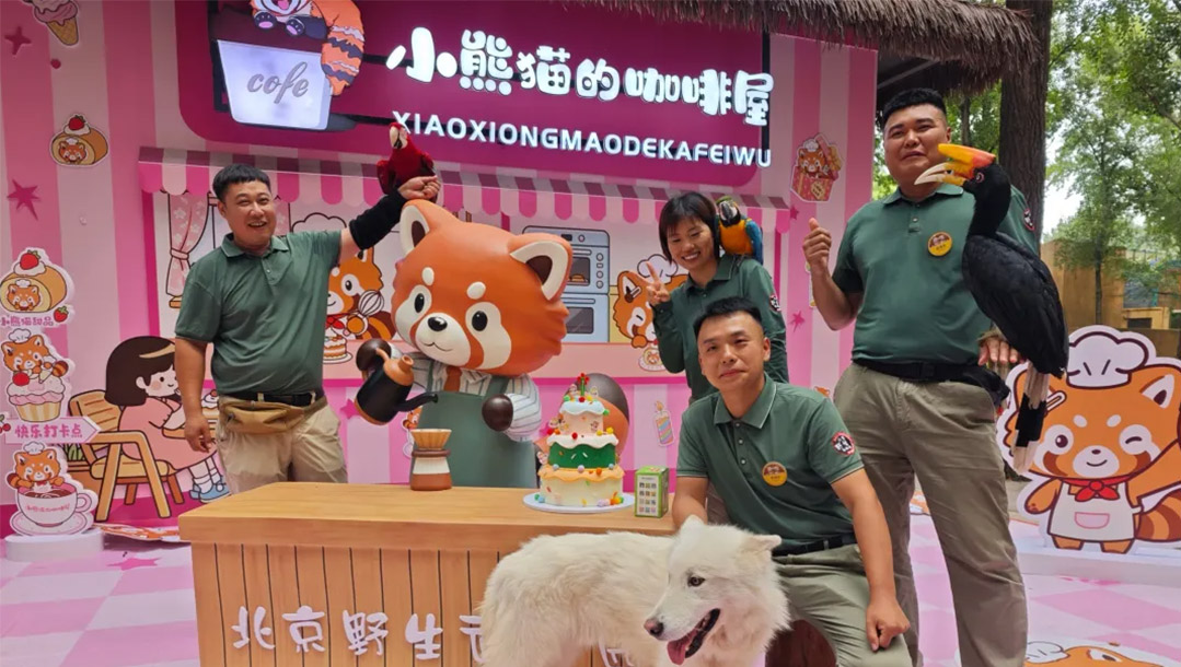 爱我北野·相伴成长 | 小熊猫生日季惊喜加场，欢乐满格治愈加倍！