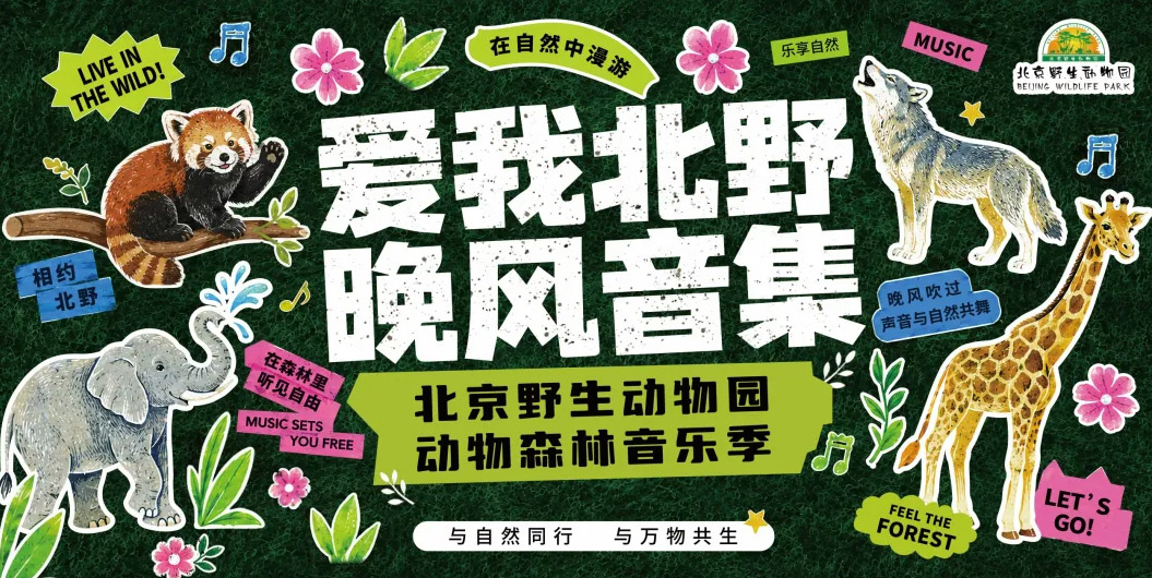 把音乐带进森林里｜“爱我北野·晚风音集”动物森林音乐季正在热卖！