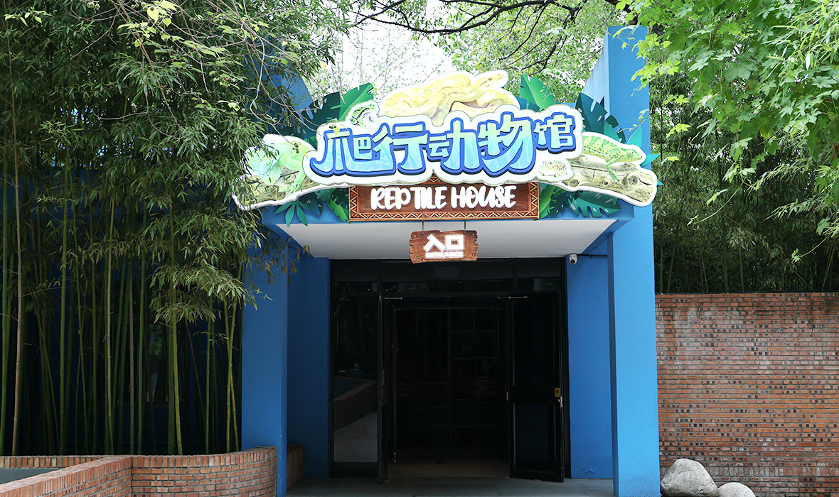 爬行馆