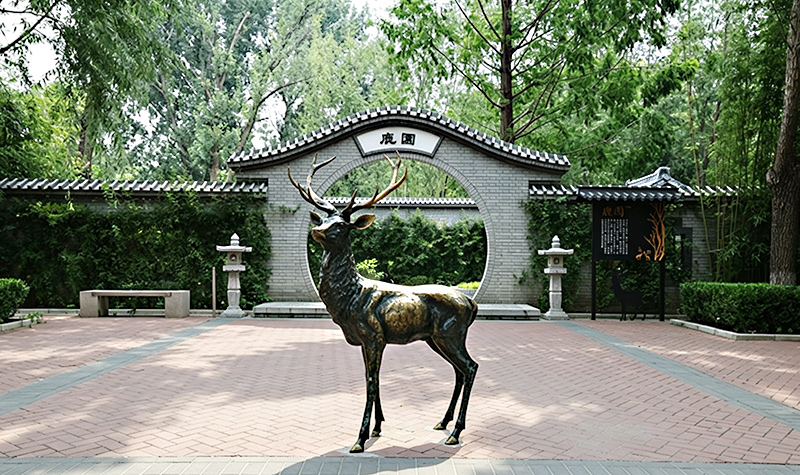 鹿园