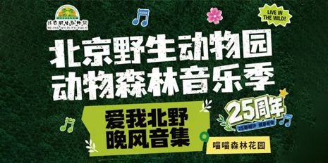 倒计时 3 天｜现场抢先剧透！「爱我北野・晚风音集」动物森林音乐季
