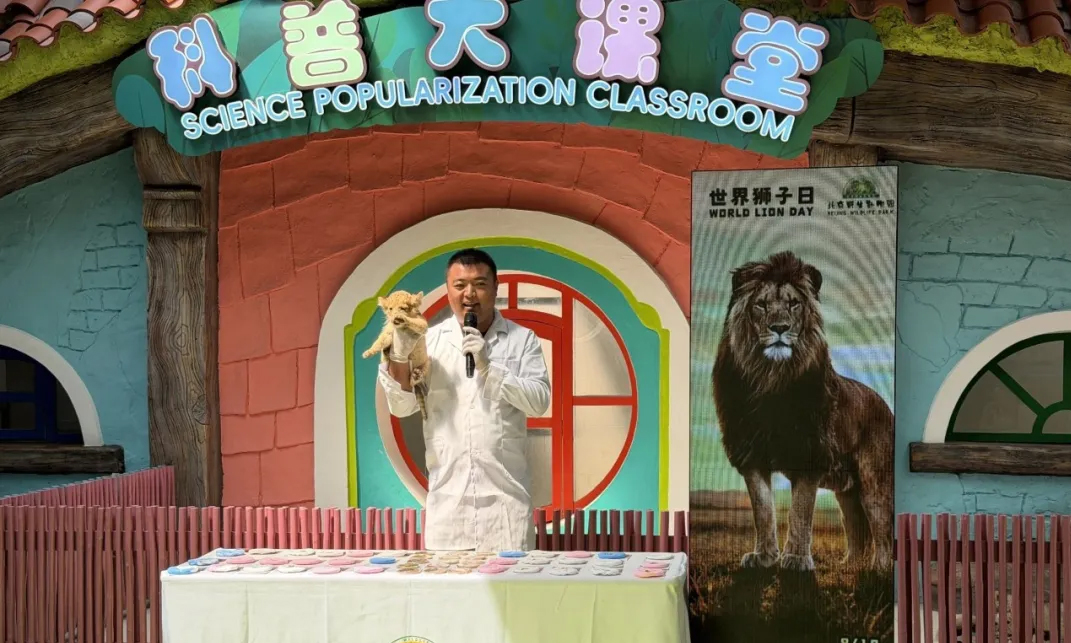 与狮同行·守护野性 | 世界狮子日主题活动圆满收官啦