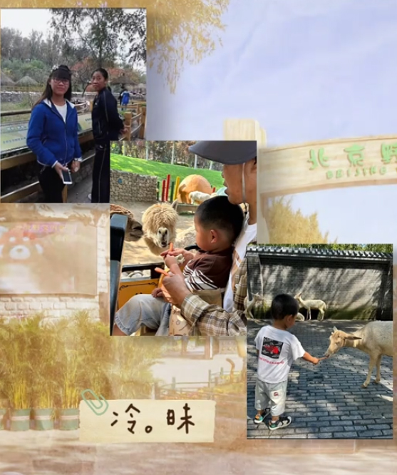 爱我北野・旧忆时光｜记忆征集活动圆满落幕！翻阅藏在时光里的北野故事
