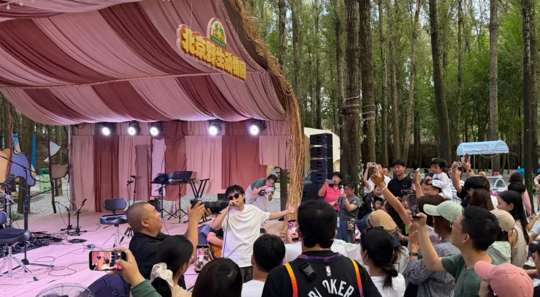 林间旋律持续奏响｜明日开演！夏日浪漫续场，晚风与您相见
