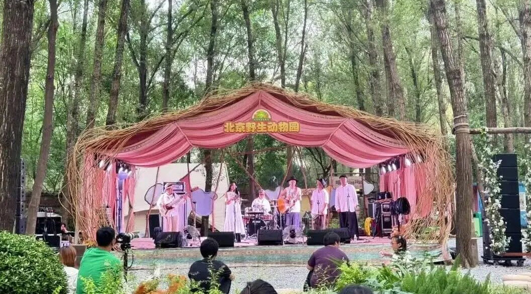 动物森林音乐季今日现场回顾｜旋律悠扬，与萌兽共享夏日乐章
