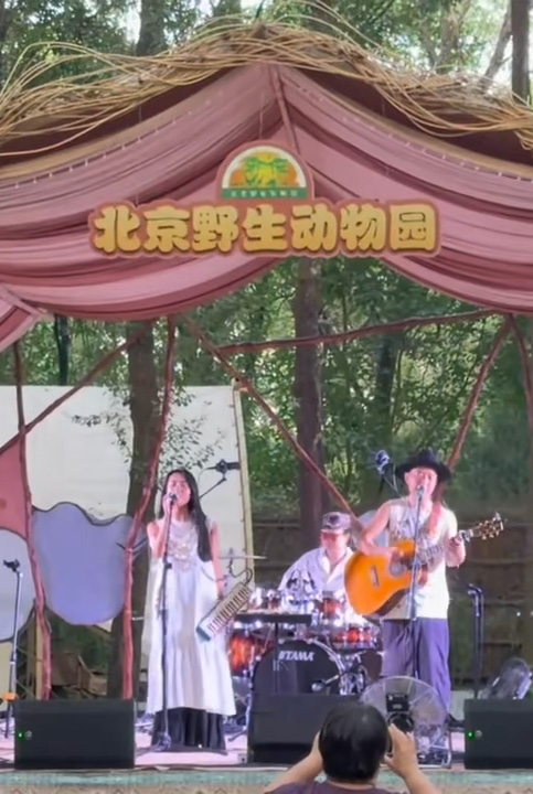 爱我北野·晚风音集——北野动物森林音乐季