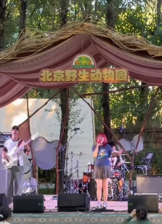 爱我北野·晚风音集——北野动物森林音乐季