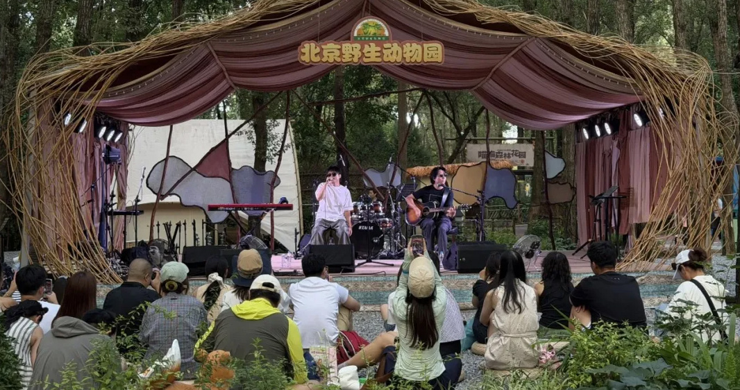 最后 2 场！“爱我北野·晚风音集”动物森林音乐季收官倒计时