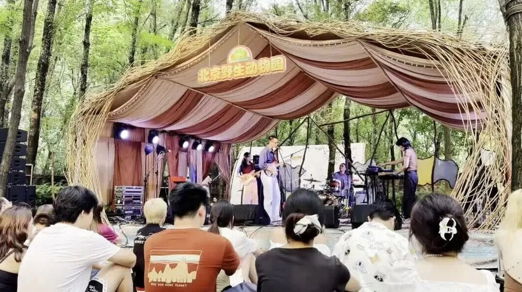 收官倒计时 1 天！｜晚风奏响林间旋律，明日锁定今夏最后一场森林 Live