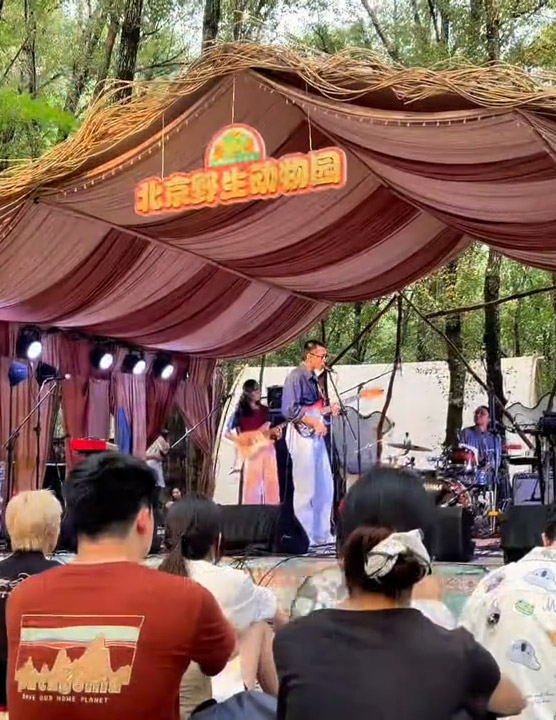 收官倒计时 1 天！｜晚风奏响林间旋律，明日锁定今夏最后一场森林 Live