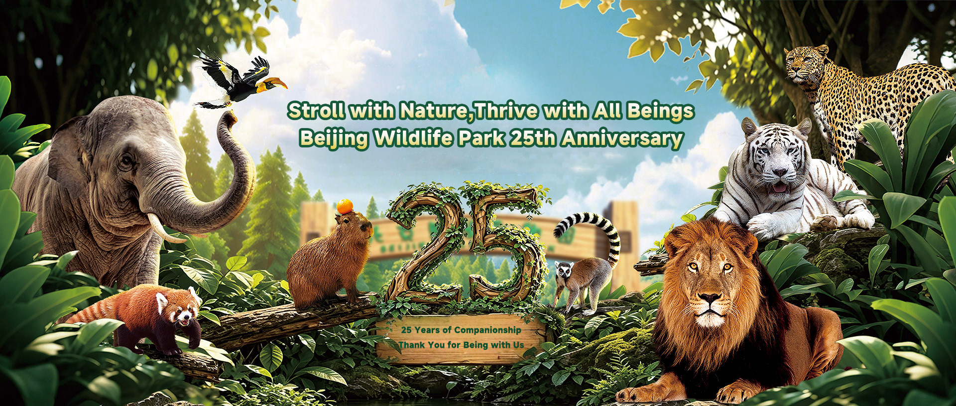 25周年庆