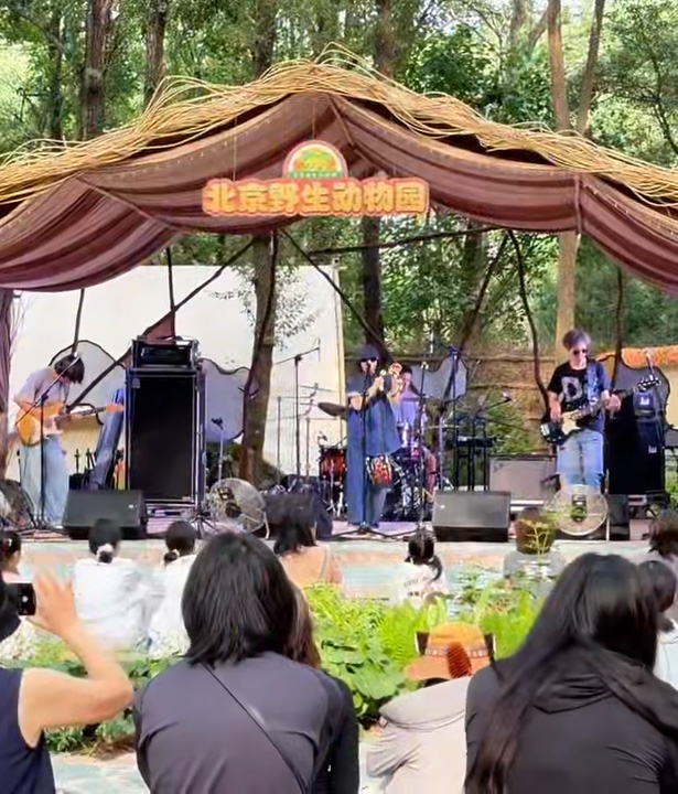 爱我北野·晚风音集——北野动物森林音乐季