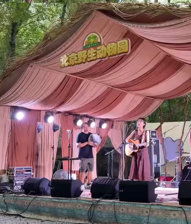 爱我北野·晚风音集——北野动物森林音乐季