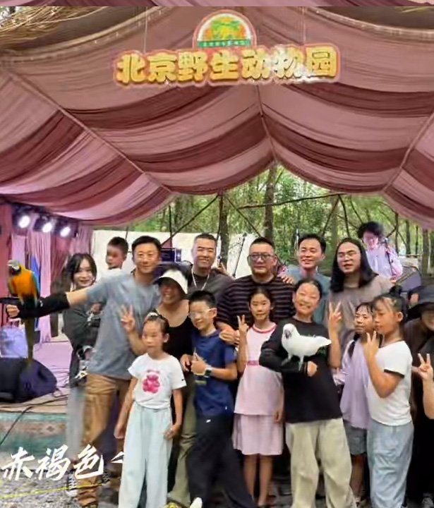 爱我北野·晚风音集——北野动物森林音乐季