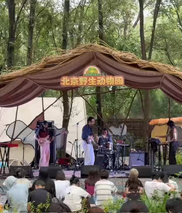 爱我北野·晚风音集——北野动物森林音乐季
