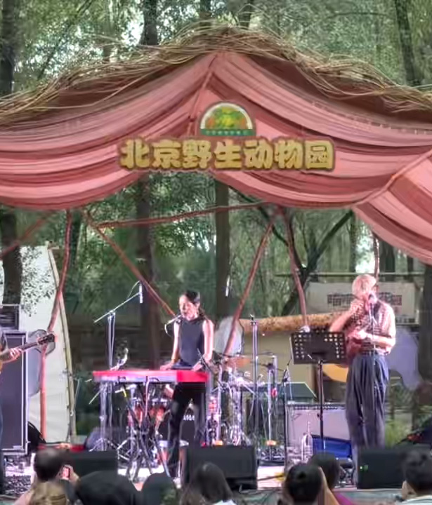 爱我北野·晚风音集——北野动物森林音乐季